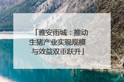 雅安雨城：推动生猪产业实现规模与效益双重跃升