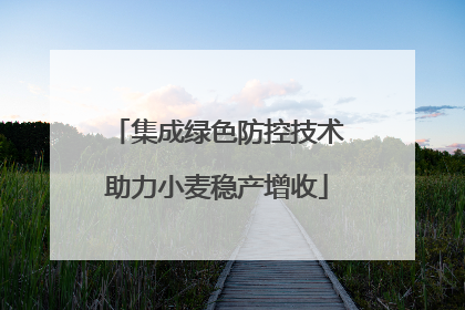 集成绿色防控技术助力小麦稳产增收