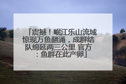 震撼！岷江乐山流域惊现万鱼翻涌，成群结队绵延两三公里 官方：鱼群在此产卵