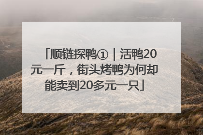 顺链探鸭①｜活鸭20元一斤，街头烤鸭为何却能卖到20多元一只