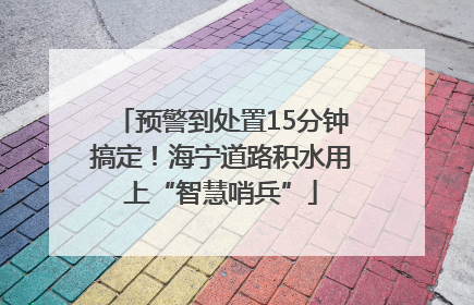 预警到处置15分钟搞定！海宁道路积水用上“智慧哨兵”