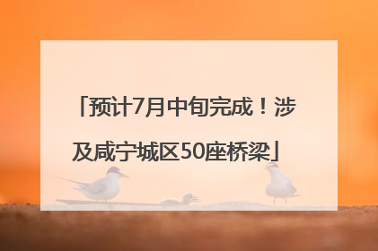 预计7月中旬完成！涉及咸宁城区50座桥梁