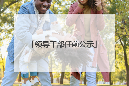 领导干部任前公示