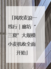 风吹麦浪一线行｜廊坊“三夏”大规模小麦机收全面开始