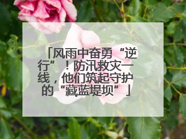 风雨中奋勇“逆行”！防汛救灾一线，他们筑起守护的“藏蓝堤坝”