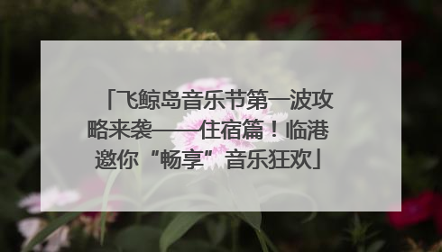 飞鲸岛音乐节第一波攻略来袭——住宿篇！临港邀你“畅享”音乐狂欢