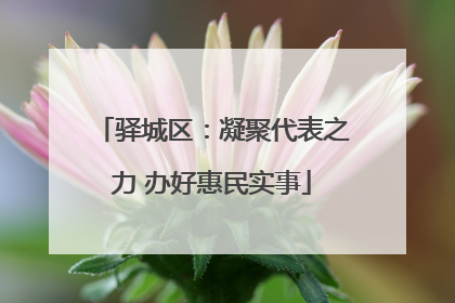 驿城区：凝聚代表之力 办好惠民实事