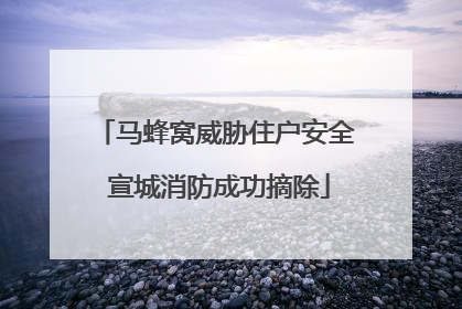 马蜂窝威胁住户安全 宣城消防成功摘除