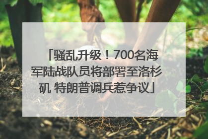 骚乱升级！700名海军陆战队员将部署至洛杉矶 特朗普调兵惹争议