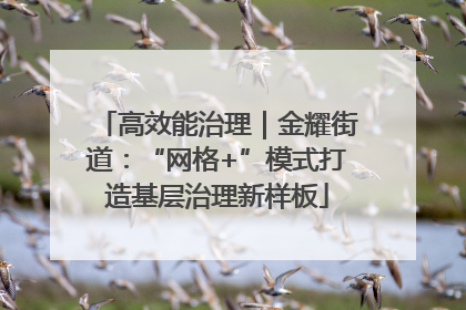 高效能治理｜金耀街道：“网格+”模式打造基层治理新样板