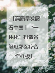 高质量发展看中国丨“一体化”打造省级毗邻医疗合作样板