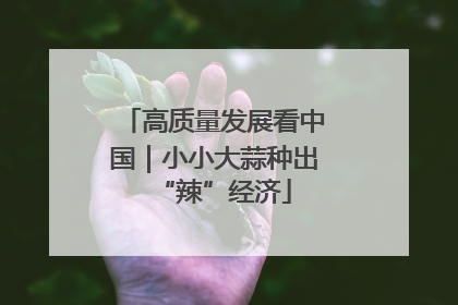 高质量发展看中国｜小小大蒜种出“辣”经济