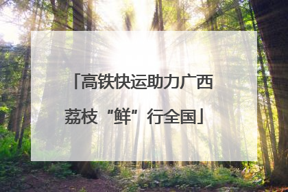 高铁快运助力广西荔枝“鲜”行全国