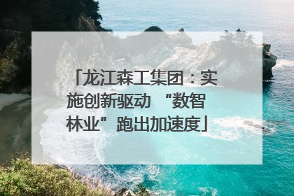 龙江森工集团：实施创新驱动 “数智林业”跑出加速度