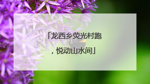 龙西乡荧光村跑，悦动山水间