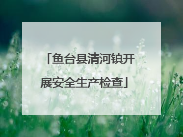 鱼台县清河镇开展安全生产检查