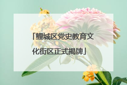 鲤城区党史教育文化街区正式揭牌