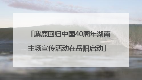 麋鹿回归中国40周年湖南主场宣传活动在岳阳启动