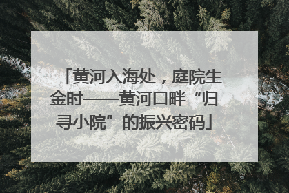 黄河入海处，庭院生金时——黄河口畔“归寻小院”的振兴密码