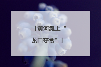 黄河滩上“龙口夺食”