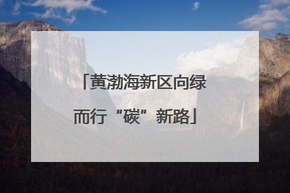 黄渤海新区向绿而行“碳”新路