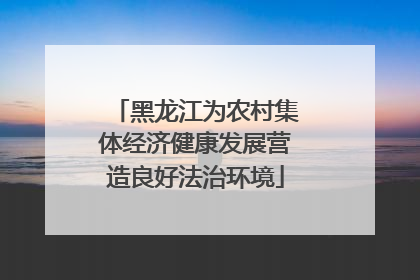 黑龙江为农村集体经济健康发展营造良好法治环境