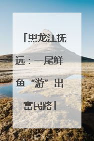黑龙江抚远：一尾鲜鱼“游”出富民路