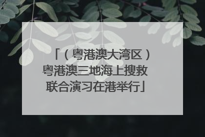 （粤港澳大湾区）粤港澳三地海上搜救联合演习在港举行