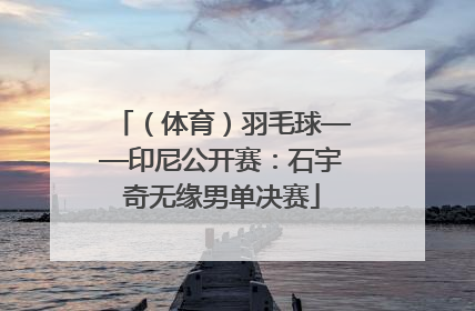 （体育）羽毛球——印尼公开赛：石宇奇无缘男单决赛