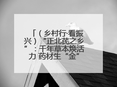 （乡村行·看振兴）“正北芪之乡”：千年草本焕活力 药材生“金”富农家