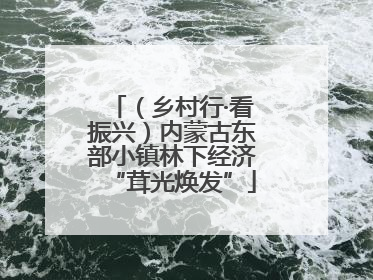 （乡村行·看振兴）内蒙古东部小镇林下经济“茸光焕发”