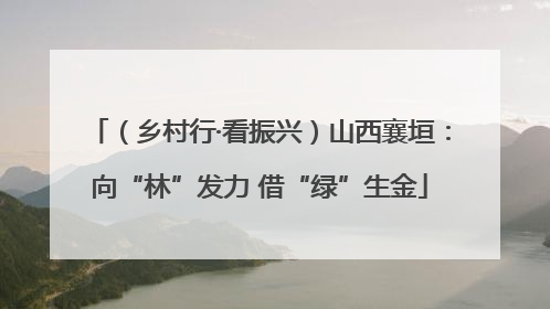 （乡村行·看振兴）山西襄垣：向“林”发力 借“绿”生金