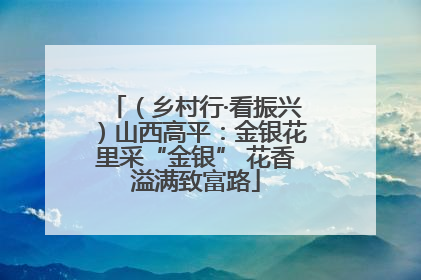 （乡村行·看振兴）山西高平：金银花里采“金银” 花香溢满致富路
