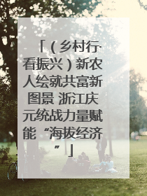 （乡村行·看振兴）新农人绘就共富新图景 浙江庆元统战力量赋能“海拔经济”