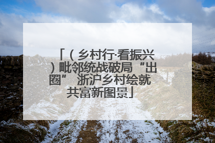 （乡村行·看振兴）毗邻统战破局“出圈” 浙沪乡村绘就共富新图景