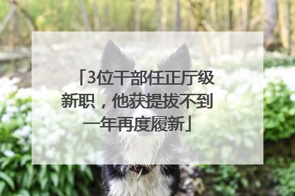 3位干部任正厅级新职，他获提拔不到一年再度履新