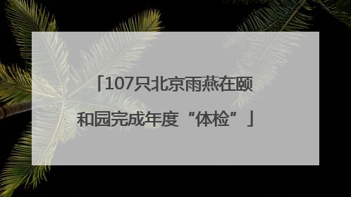 107只北京雨燕在颐和园完成年度“体检”
