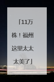 11万株！福州这里太太太美了