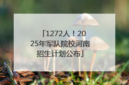 1272人！2025年军队院校河南招生计划公布