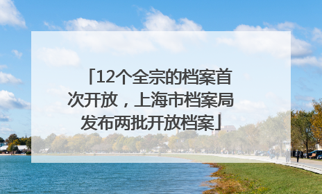 12个全宗的档案首次开放，上海市档案局发布两批开放档案
