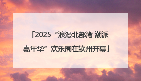 2025“浪漫北部湾 潮派嘉年华”欢乐周在钦州开幕