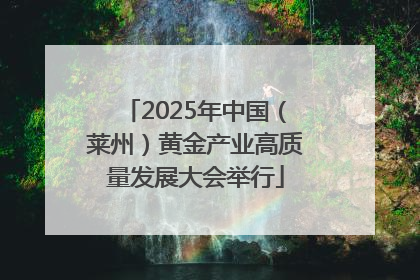 2025年中国（莱州）黄金产业高质量发展大会举行