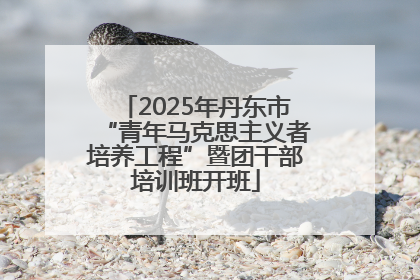 2025年丹东市“青年马克思主义者培养工程”暨团干部培训班开班