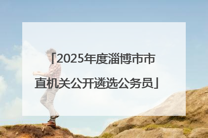 2025年度淄博市市直机关公开遴选公务员