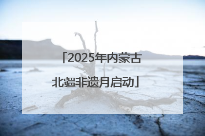 2025年内蒙古北疆非遗月启动