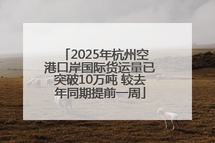 2025年杭州空港口岸国际货运量已突破10万吨 较去年同期提前一周
