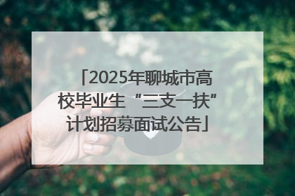 2025年聊城市高校毕业生“三支一扶”计划招募面试公告
