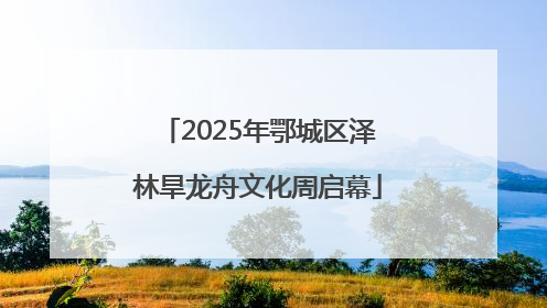 2025年鄂城区泽林旱龙舟文化周启幕