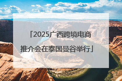 2025广西跨境电商推介会在泰国曼谷举行