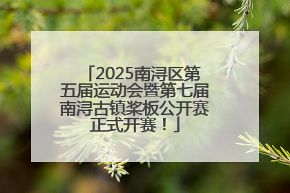 2025南浔区第五届运动会暨第七届南浔古镇桨板公开赛正式开赛！